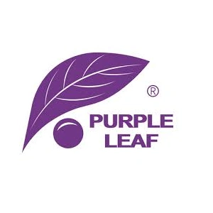 Purple Leaf