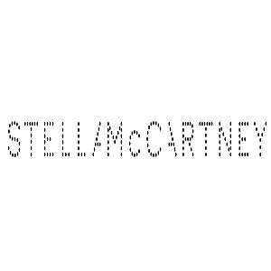 Stella Mc Cartney